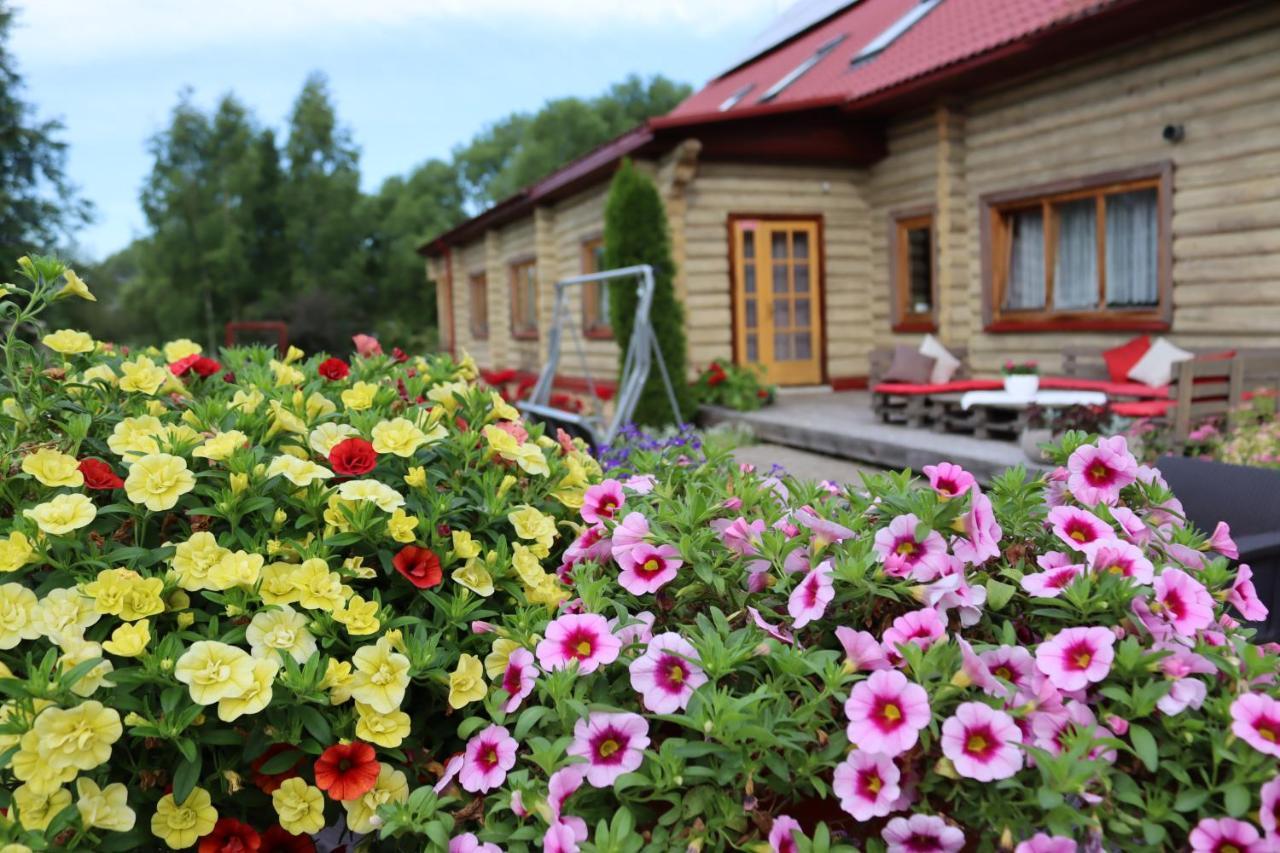 Отель Viesu Nams Zala Sala Litavniki Экстерьер фото